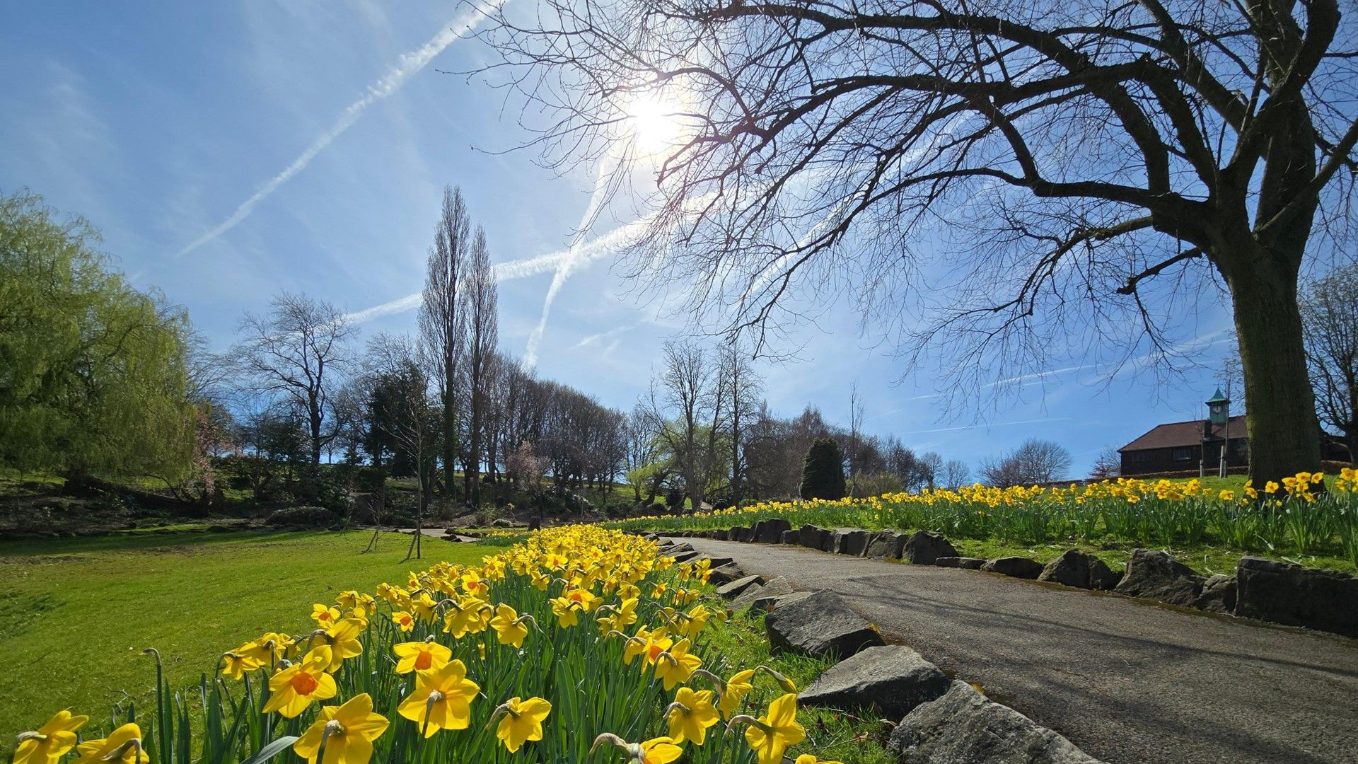 Sabah 23 dərəcə isti olacaq