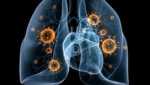 24 mart: Ümumdunya Vərəmlə Mübarizə günüdür