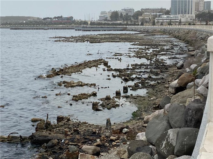 Xəzər dənizində səviyyə ciddi azaldı –