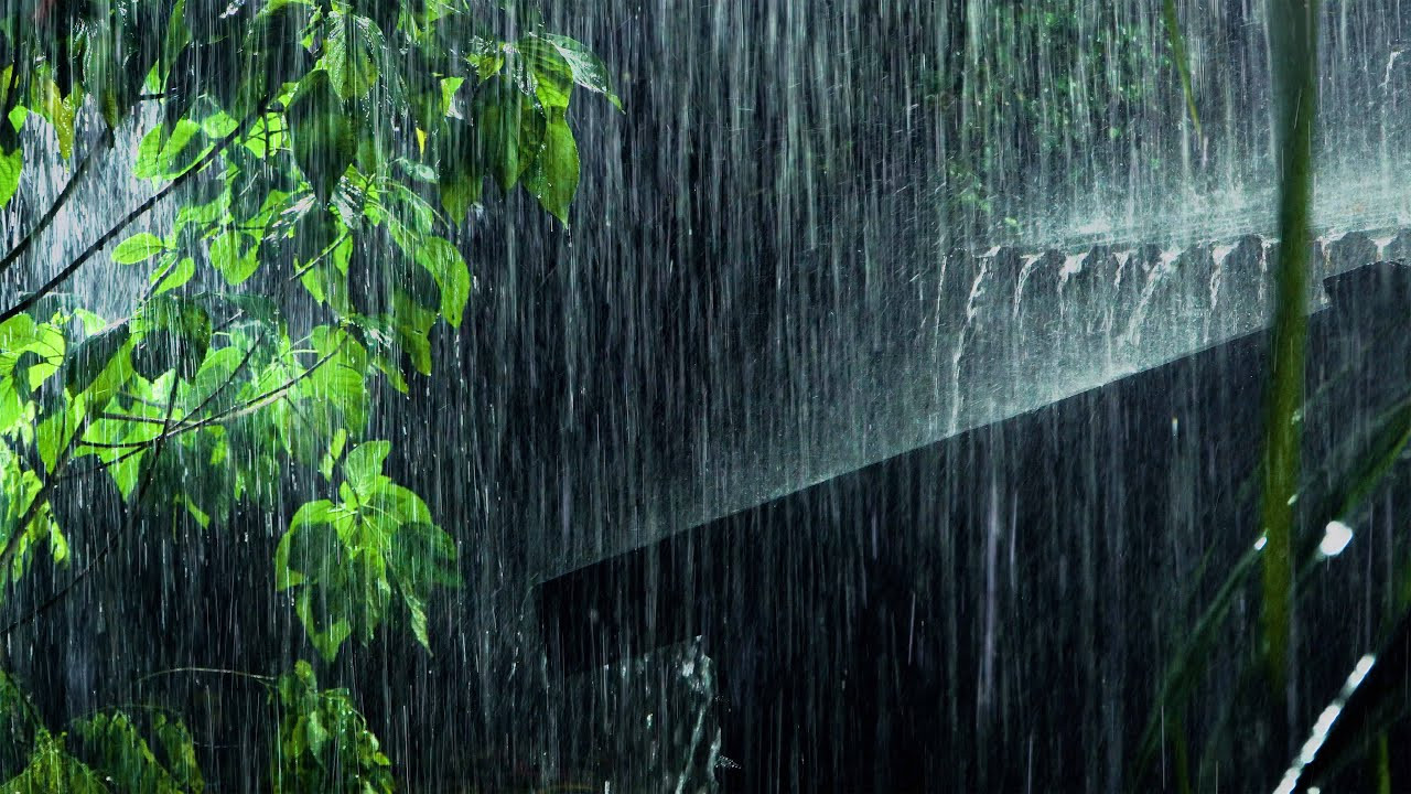 Sabah hava necə olacaq?