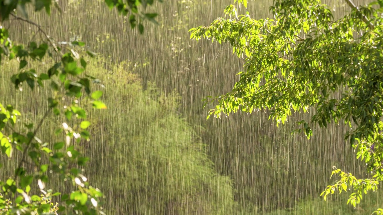 İntensiv yağışlar sabah da davam edəcək -