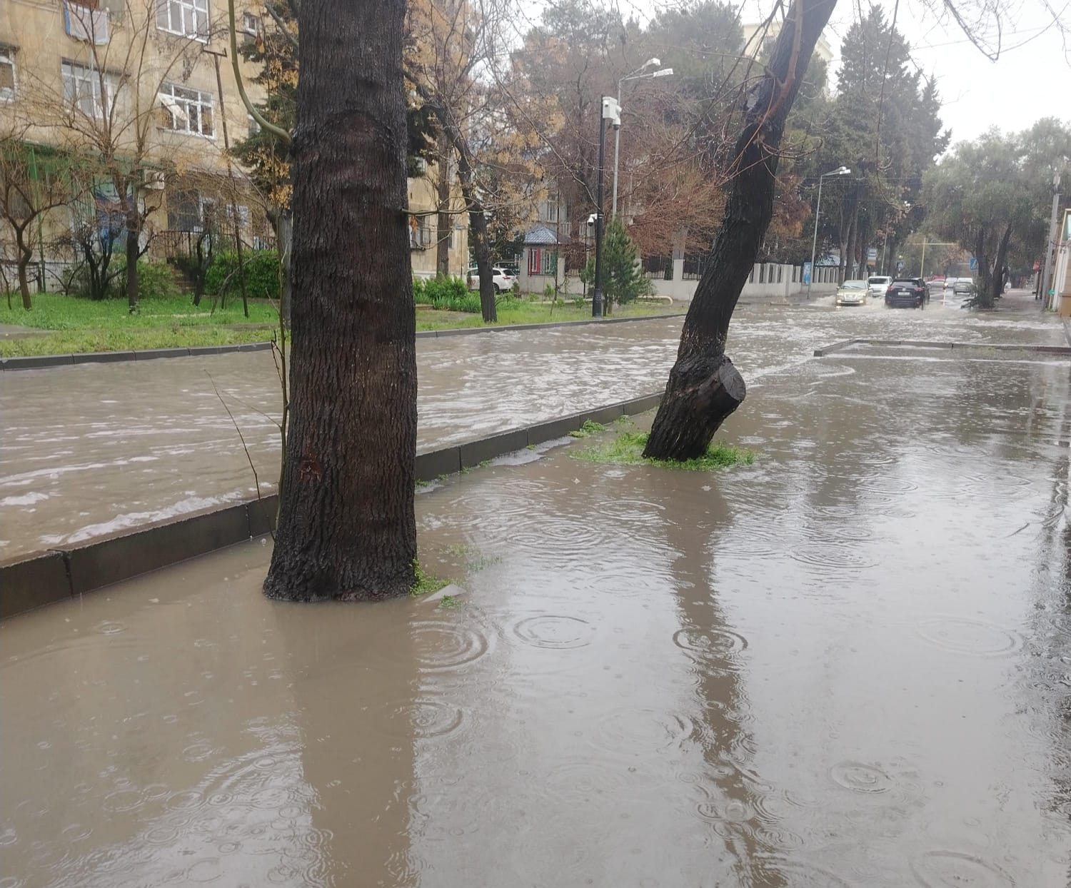 Azərbaycanda son 100 ildə mart ayı üzrə rekord yağıntı qeydə alınıb