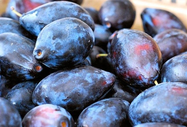 Ərik və qara gavalının xərçəng hüceyrələrinə təsiri: Laboratoriya araşdırmaları nə deyir?