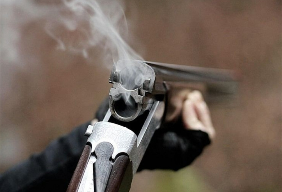 Qardaş qardaşı qətlə yetirib: