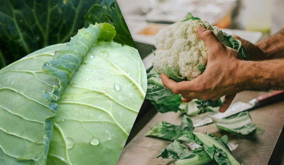 Kələmin bilmədiyimiz faydaları