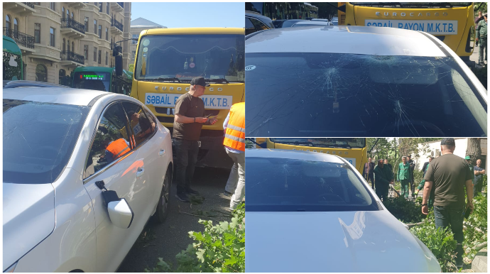 Nəhəng ağac “BYD”nin üstünə aşdı