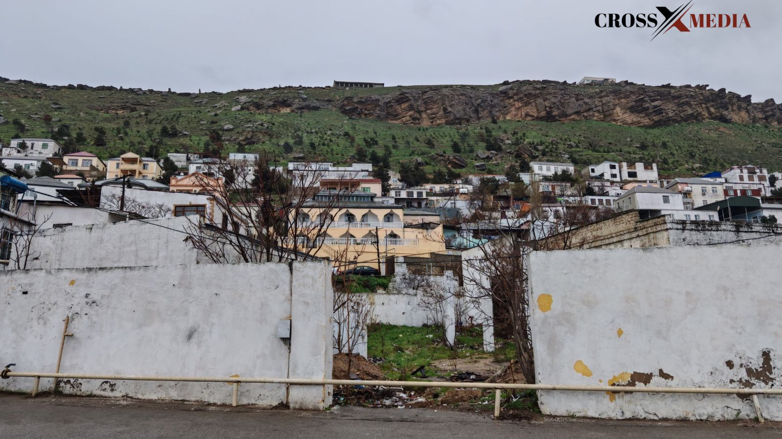 Badamdarın "sürüşkən" taleyi: