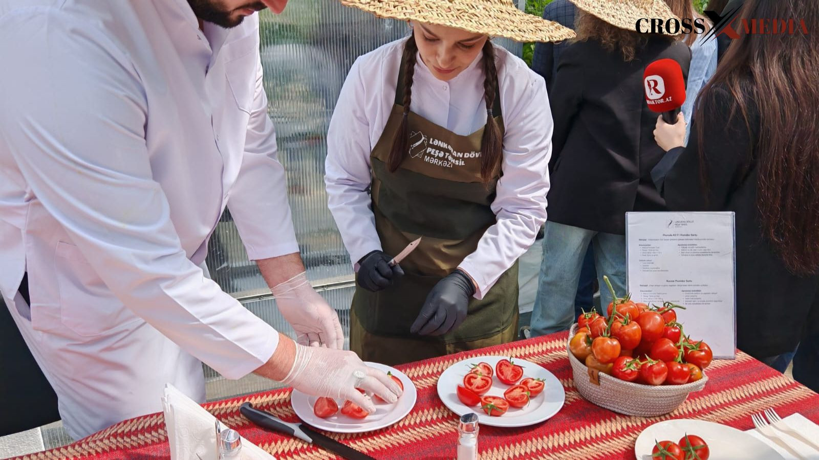 Lənkəran və Cəlilabaddan yüksələn peşəkarlıq -