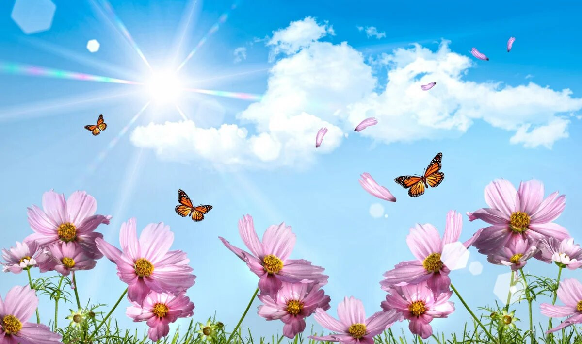 Sabah 16 dərəcə isti olacaq