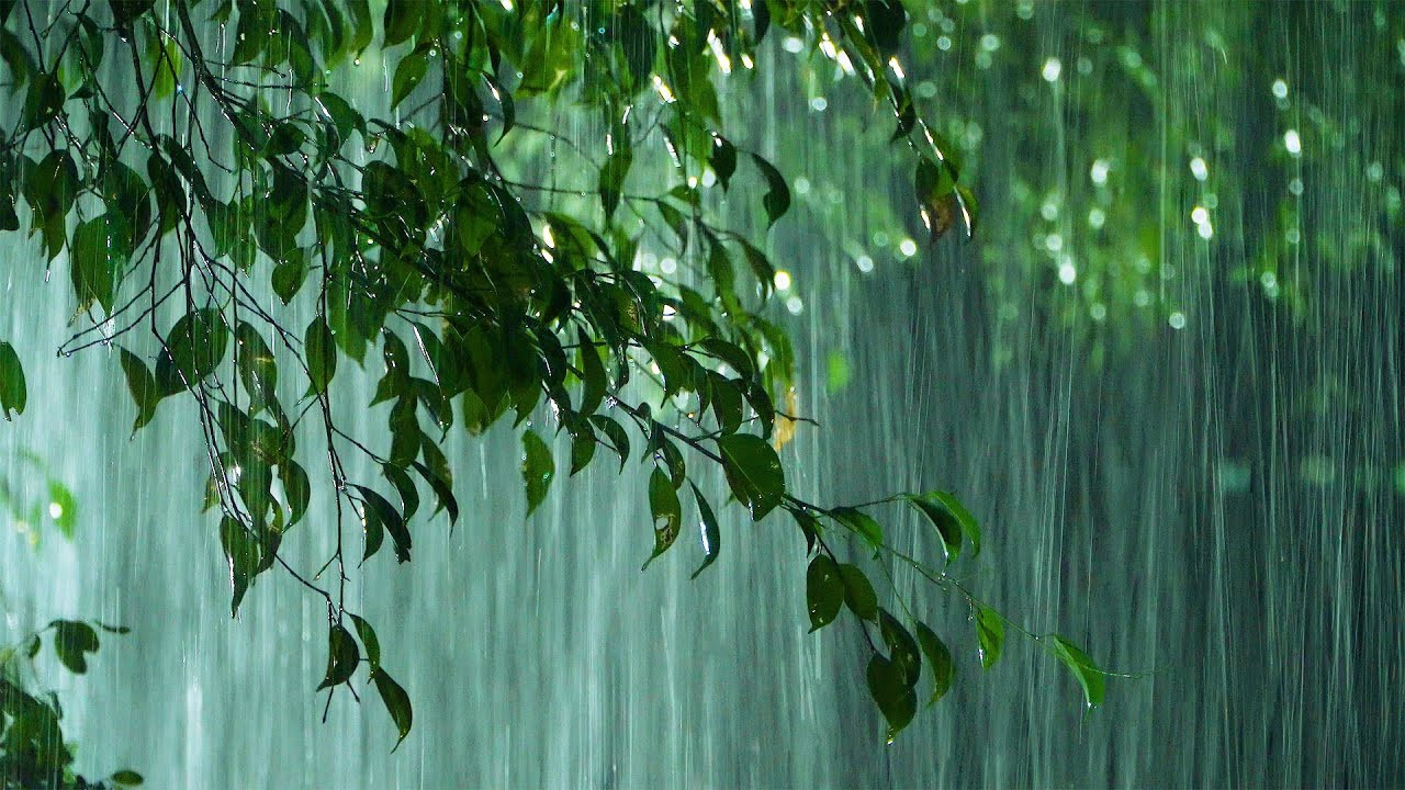 Yağış intensivləşəcək