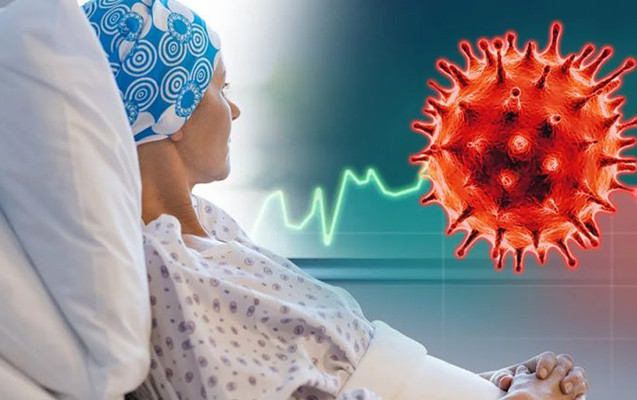 Alimlərdən yeni kəşf: Xərçəngin müalicəsi qurbağalardadır?