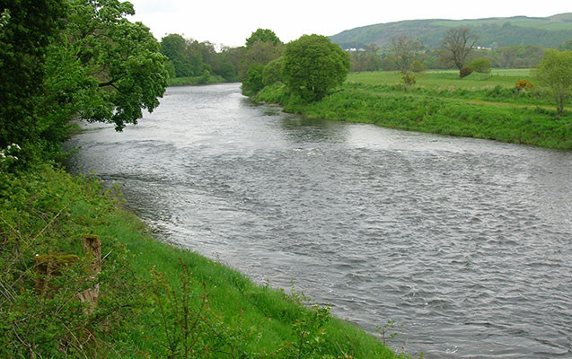 Kür çayında suyun səviyyəsi artıb