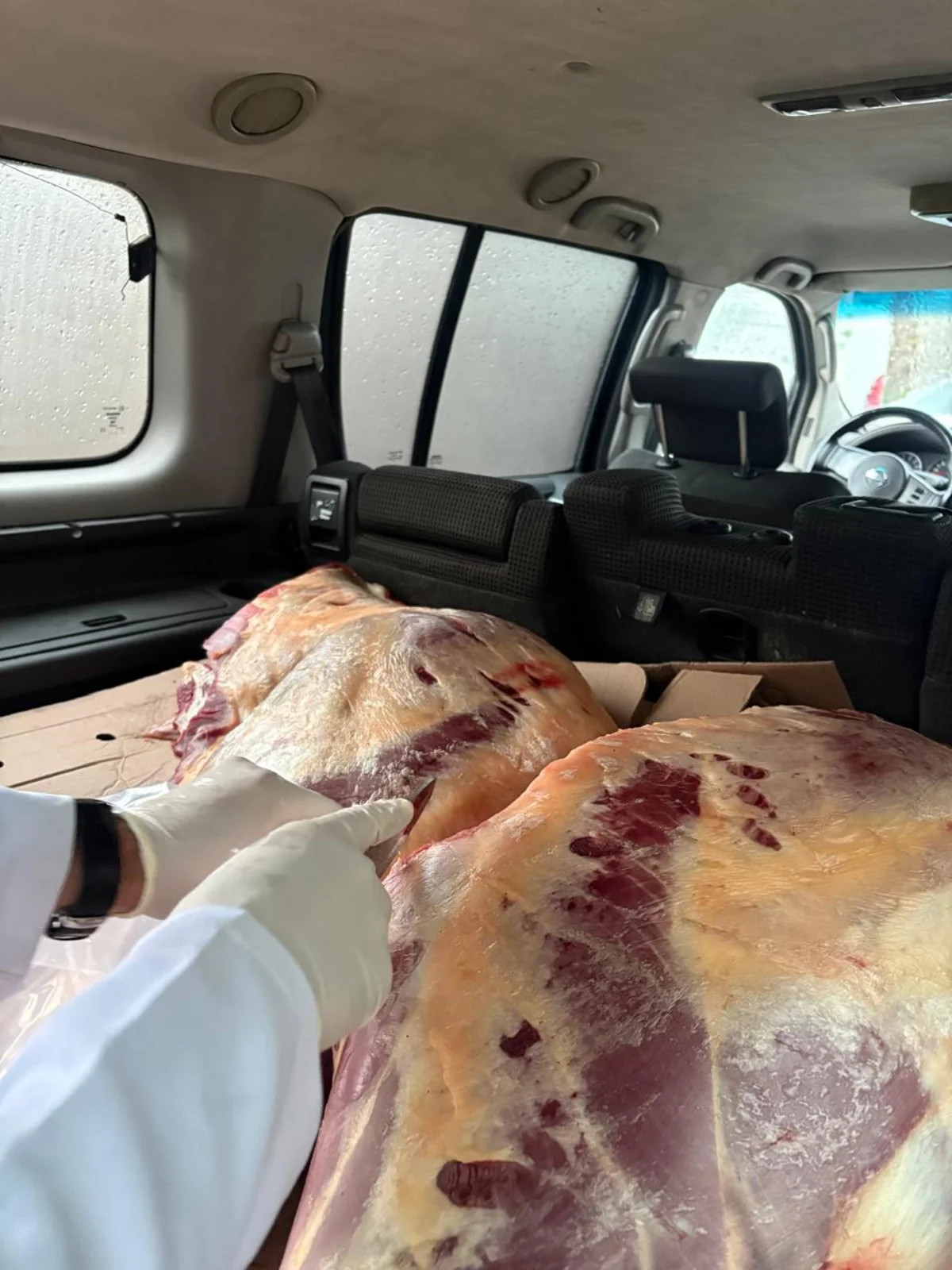 220 kq-dan çox at əti aşkar edilib