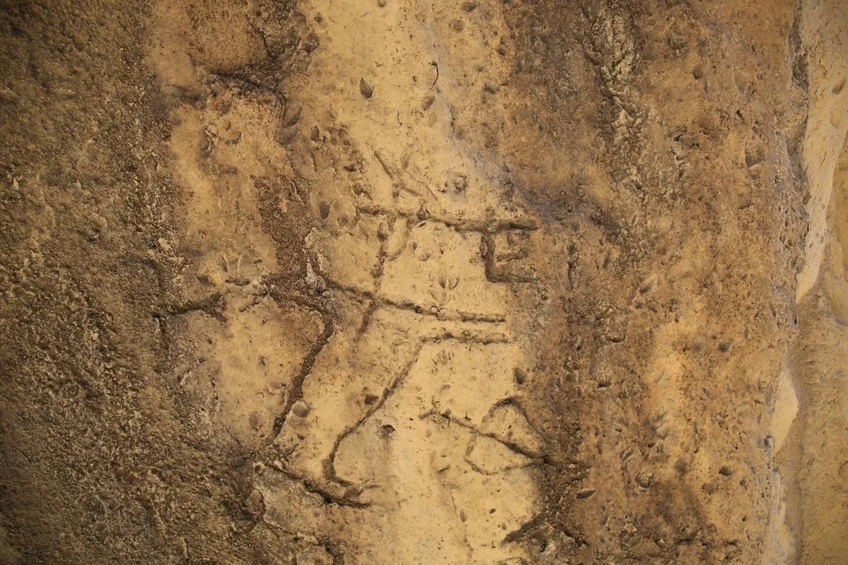 Qobustanda yeni qayaüstü təsvirlər aşkar olunub