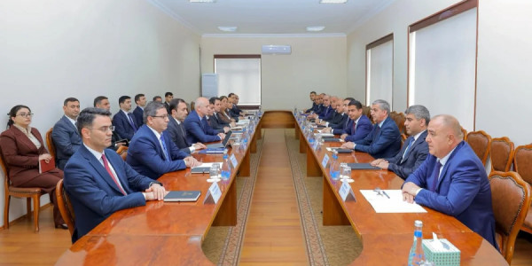 Naxçıvan Muxtar Respublikasının Nazirlər Kabinetində müşavirə keçirilib