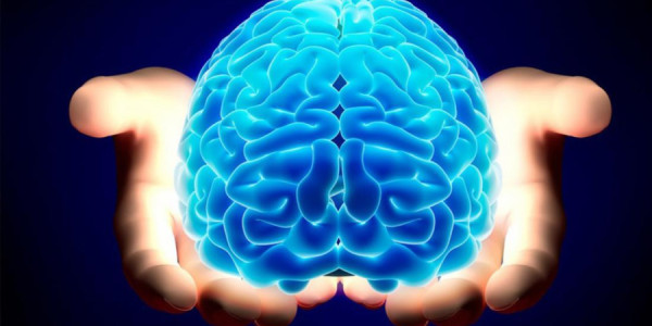 Nikbin düşüncə beynimizin fəaliyyətinə necə təsir edir?