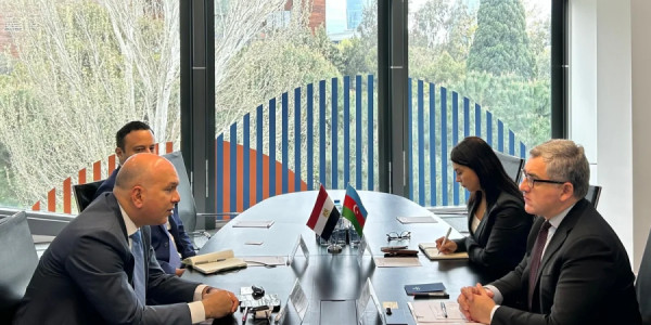 Azərbaycan Misir ilə iqtisadi əməkdaşlığı müzakirə edib