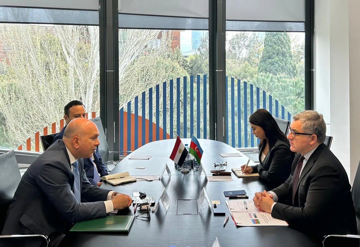 Azərbaycan Misir ilə iqtisadi əməkdaşlığı müzakirə edib