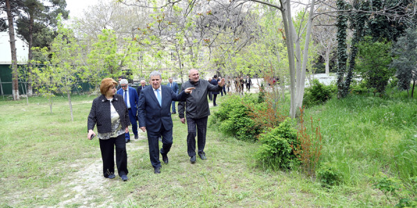 Akademik İsa Həbibbəyli AMEA-nın Nadir ağaclar parkına baxış keçirib