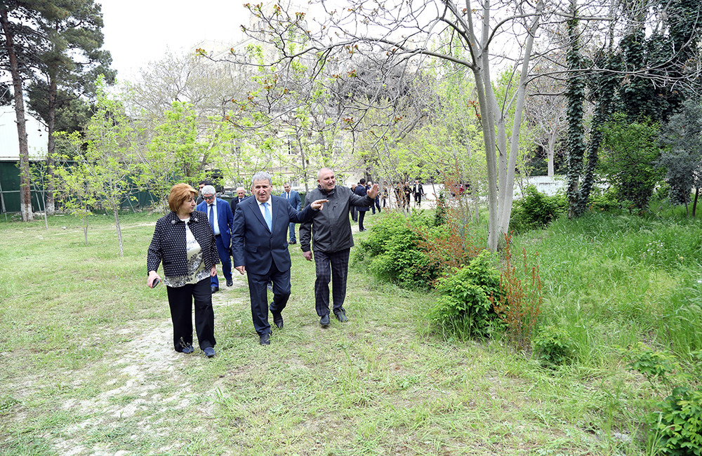 Akademik İsa Həbibbəyli AMEA-nın Nadir ağaclar parkına baxış keçirib