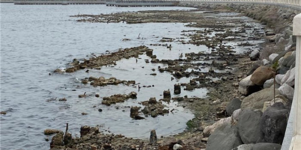 Xəzərin 8-21 metr enməsi region üçün hansı riskləri yaradır?