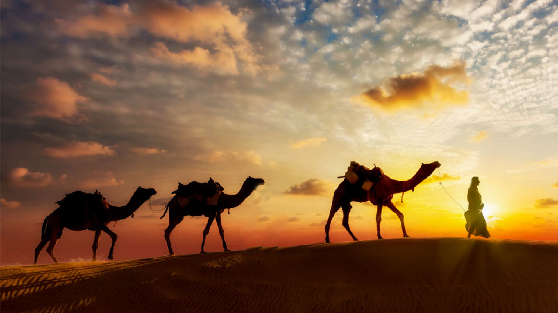 Ənsar mirası: Mədinədən başlayan bir elm və iman salnaməsi