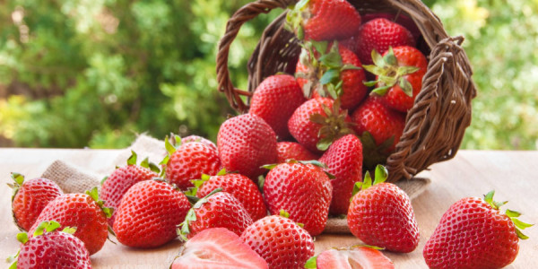 Çiyələk ucuzlaşır