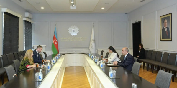 Yunanıstan və Azərbaycan təhsil sahəsində əməkdaşlığı müzakirə ediblər