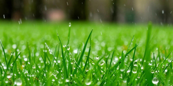 Bu ərazilərə yağış yağır -