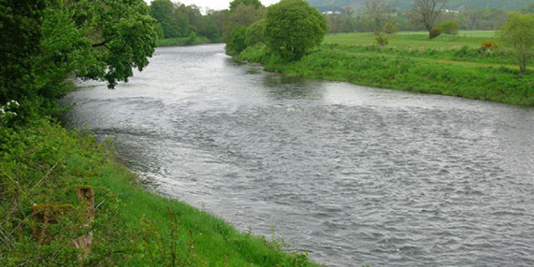 Kürün İmişlidən keçən hissəsində su artımı stabilləşib