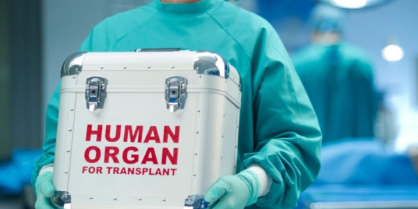 Orqan donorluğu İslamda günahmı sayılır?
