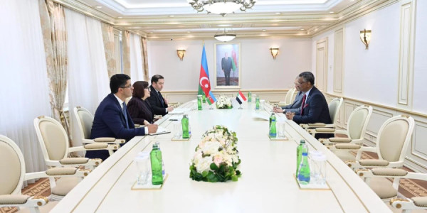 Sahibə Qafarova sudanlı səfirlə parlamentlərarası əməkdaşlığı müzakirə edib