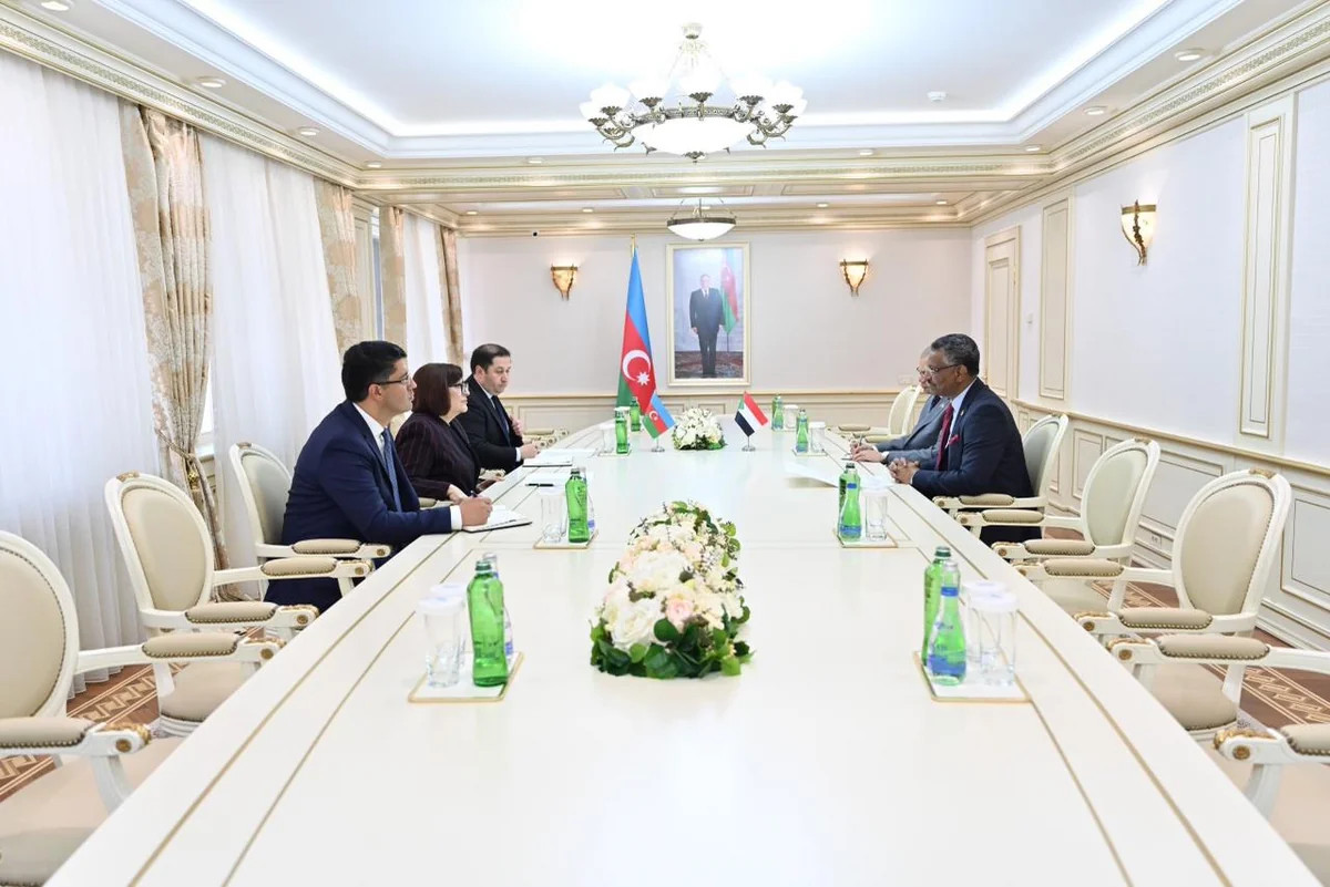 Sahibə Qafarova sudanlı səfirlə parlamentlərarası əməkdaşlığı müzakirə edib