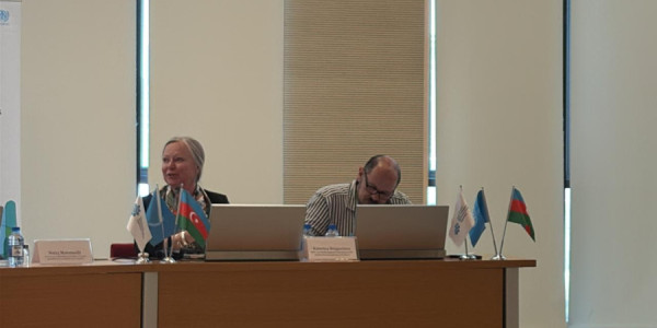 Wuf-13 də Cop29 kimi müsbət xatırlanacaq -BMT direktoru