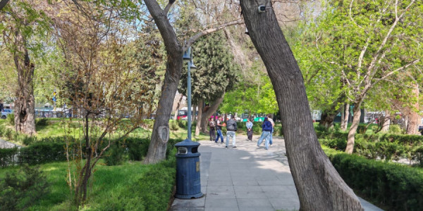 Şəhərin nəbzi, gəncliyin enerjisi -