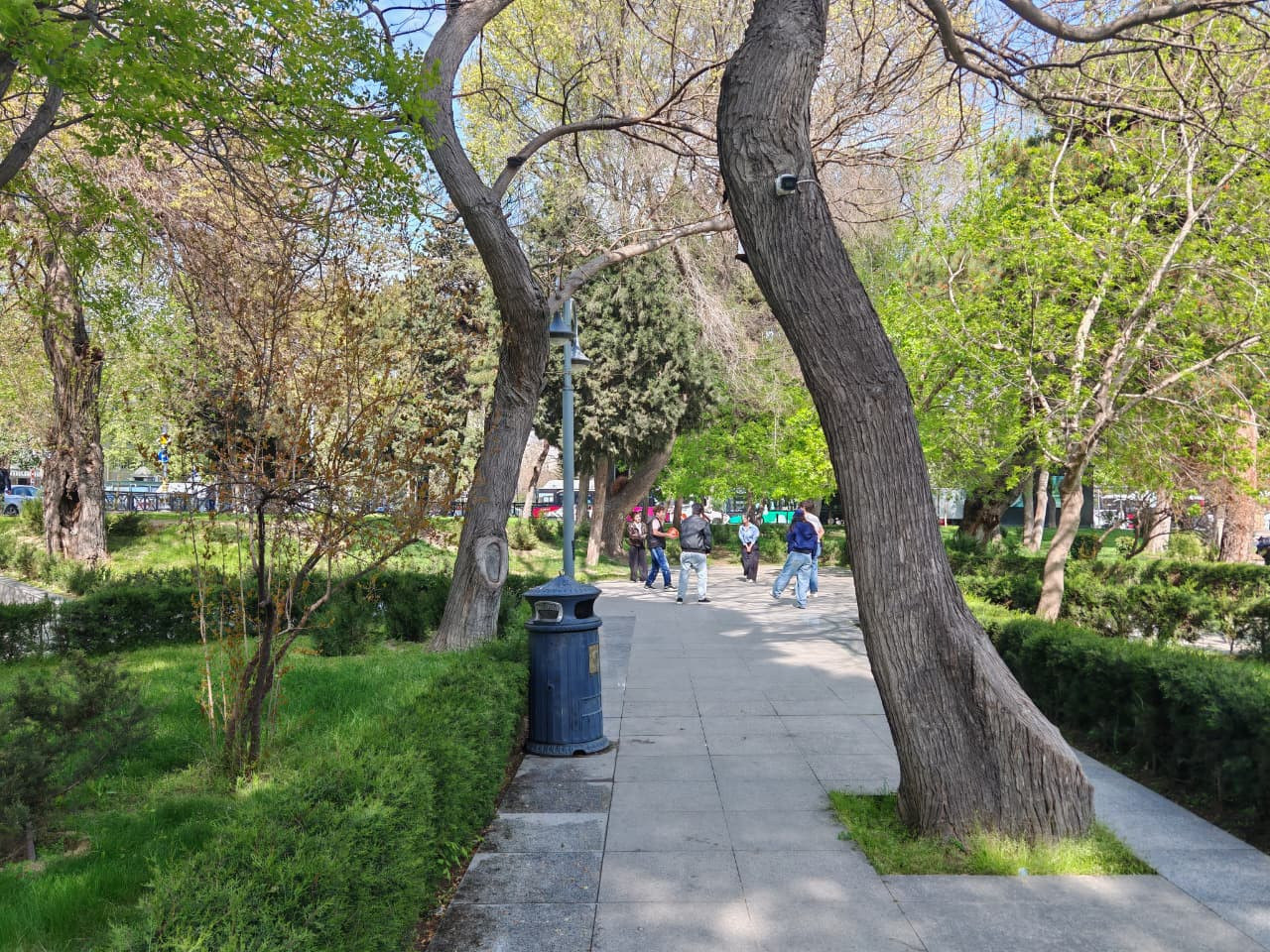 Şəhərin nəbzi, gəncliyin enerjisi -