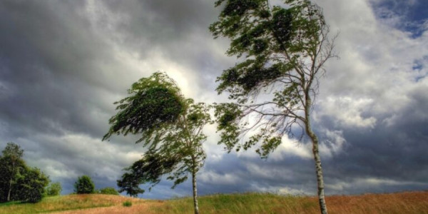 Yağıntılı və küləkli hava şəraiti davam edir - FAKTİKİ HAVA