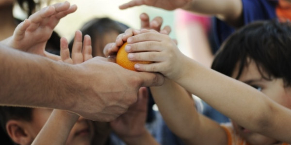 Xeyriyyə təşkilatlarının fəaliyyəti ilə bağlı