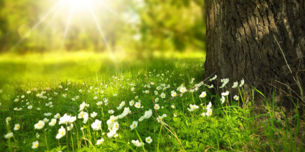 May ayında hava necə olacaq?