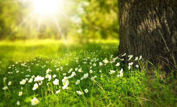 May ayında hava necə olacaq?