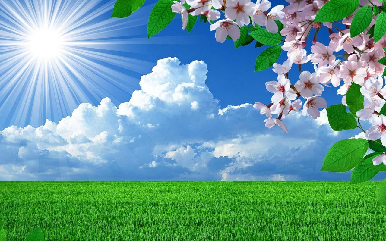 May ayı yay kimi keçəcək? -