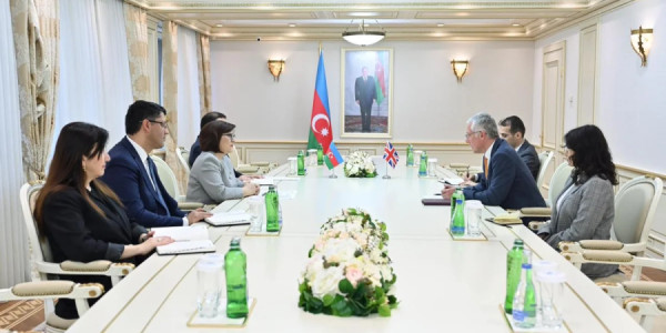 Sahibə Qafarova Britaniya səfiri ilə parlamentlərarası və iqtisadi əlaqələri müzakirə edib
