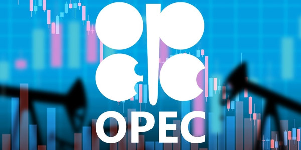 Aleksandr Novak OPEC+ barədə danışdı