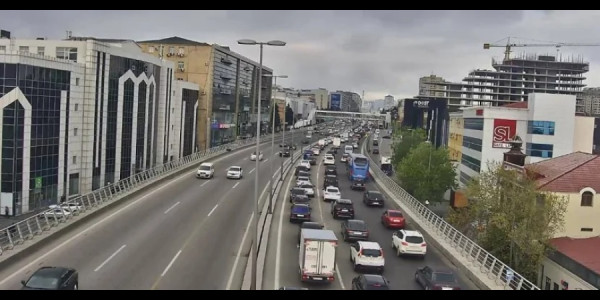 Avtomobili olanların