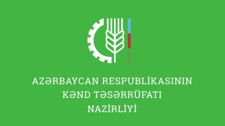 Bu nazirlikdə yeni təyinat olub