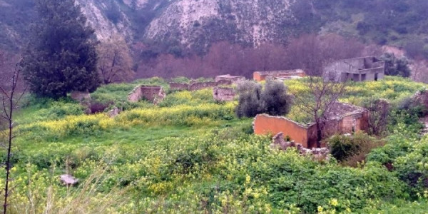İsrailli investorlar Kiprdə kəndin böyük hissəsini aldı