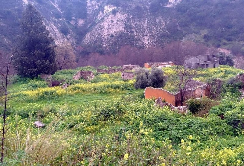 İsrailli investorlar Kiprdə kəndin böyük hissəsini aldı