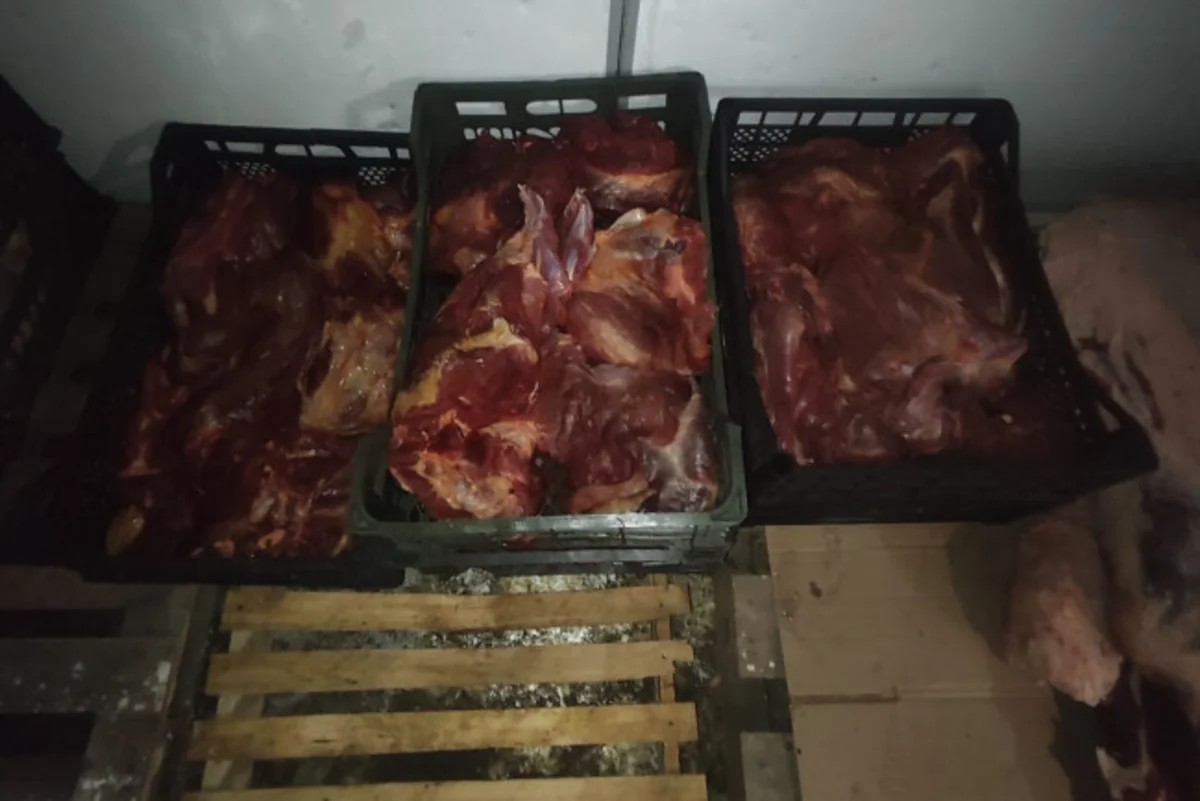 Məşhur şadlıq sarayında at DNT-si aşkarlanıb -