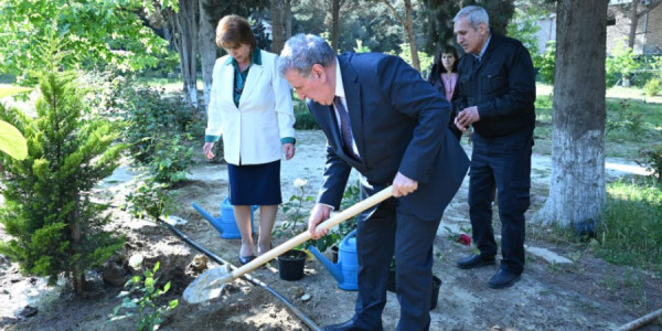 Nadir ağaclar parkının ərazisində müxtəlif növ ağac tingləri və gül kolları əkilib