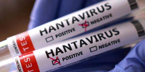 Hantavirus dünyaya yayılır: İsraildə ilk yoluxma qeydə alındı